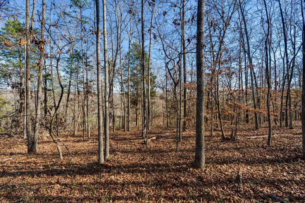 5831 Hunter Road, Ooltewah, TN 37363 - #1
