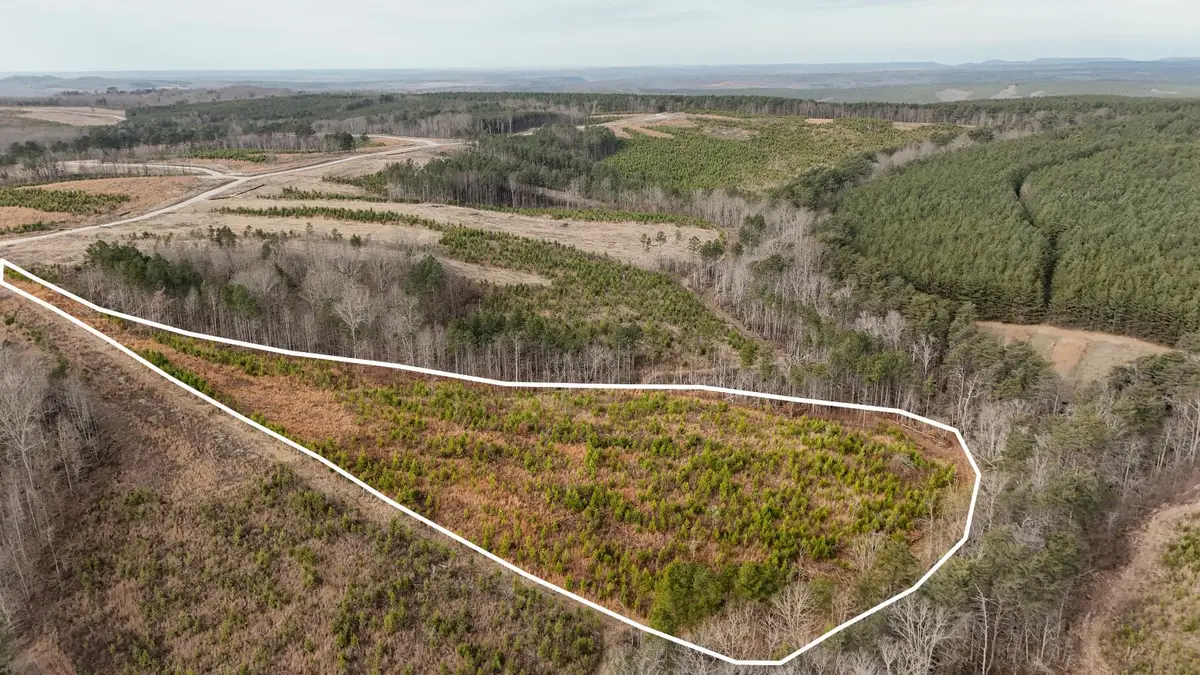 0 State Rt 399 Lot 13, Dunlap, TN 37327 - #1