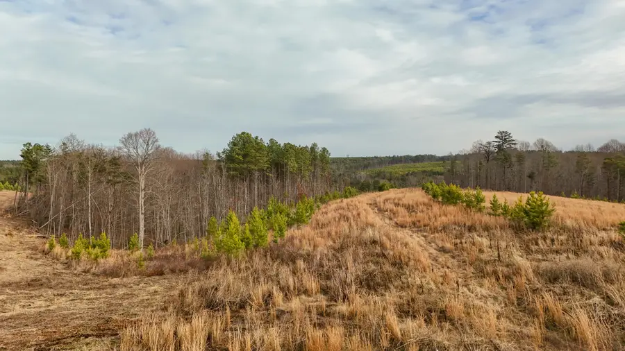 0 State Rt 399 Lot 13, Dunlap, TN 37327 - #2