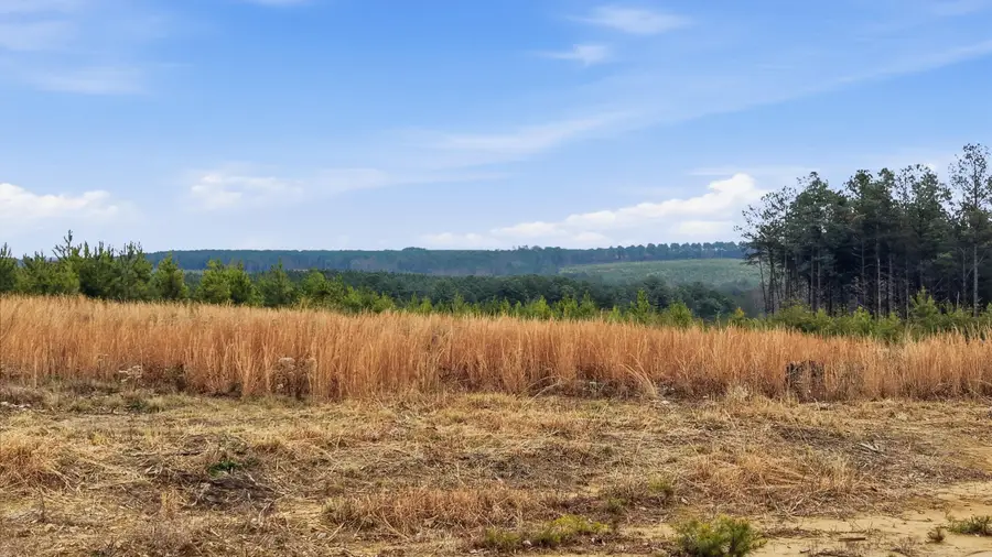 Lot 6 Longview Ridge, Dunlap, TN 37327 - Image #2