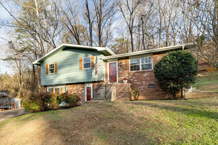 230 Pierce Drive, Ringgold, GA 30736 - Image #3