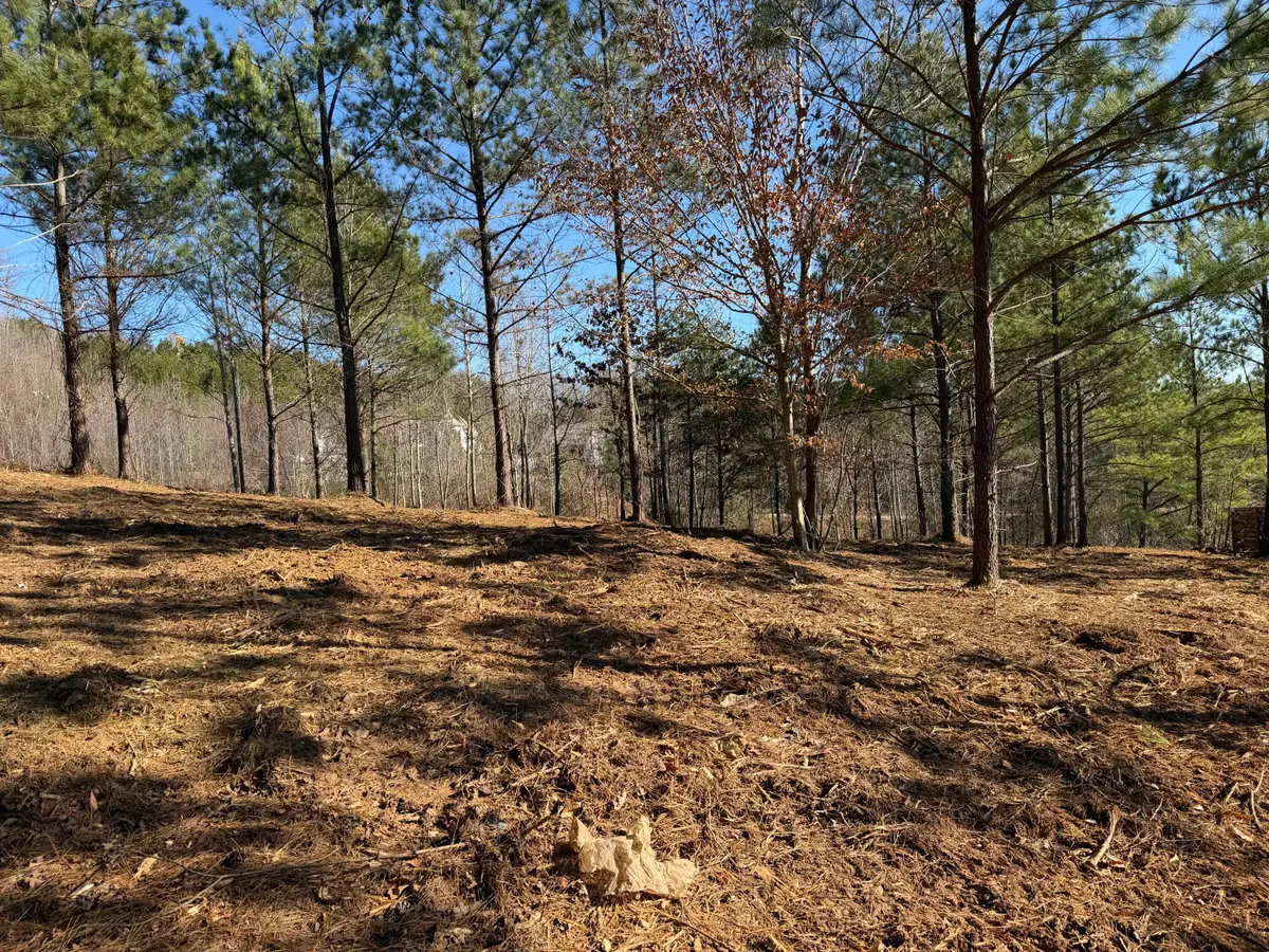 14 Turkey Run, Flintstone, GA 30725 - Image #1