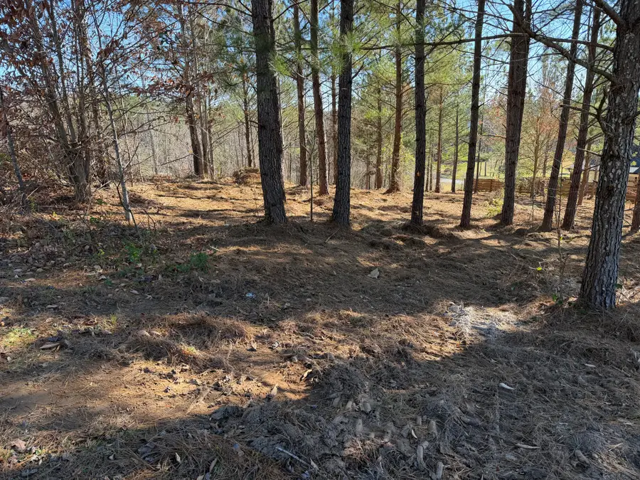 14 Turkey Run, Flintstone, GA 30725 - Image #2