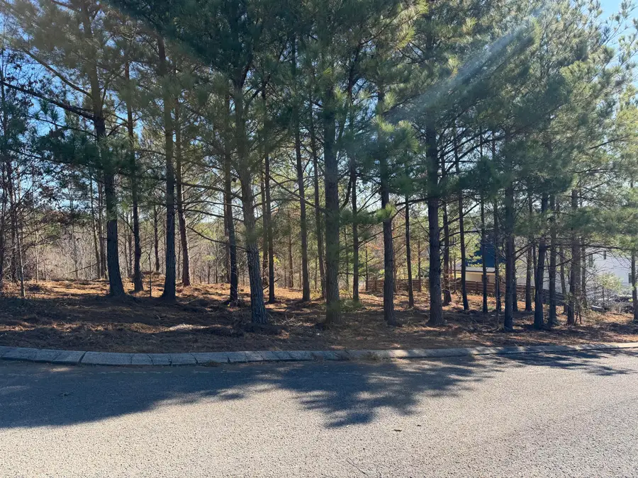 14 Turkey Run, Flintstone, GA 30725 - Image #3