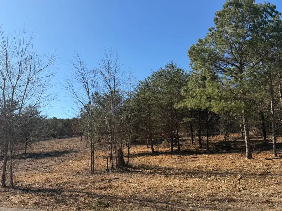 00 Majestic Heights, Ringgold, GA 30736 - Image #2