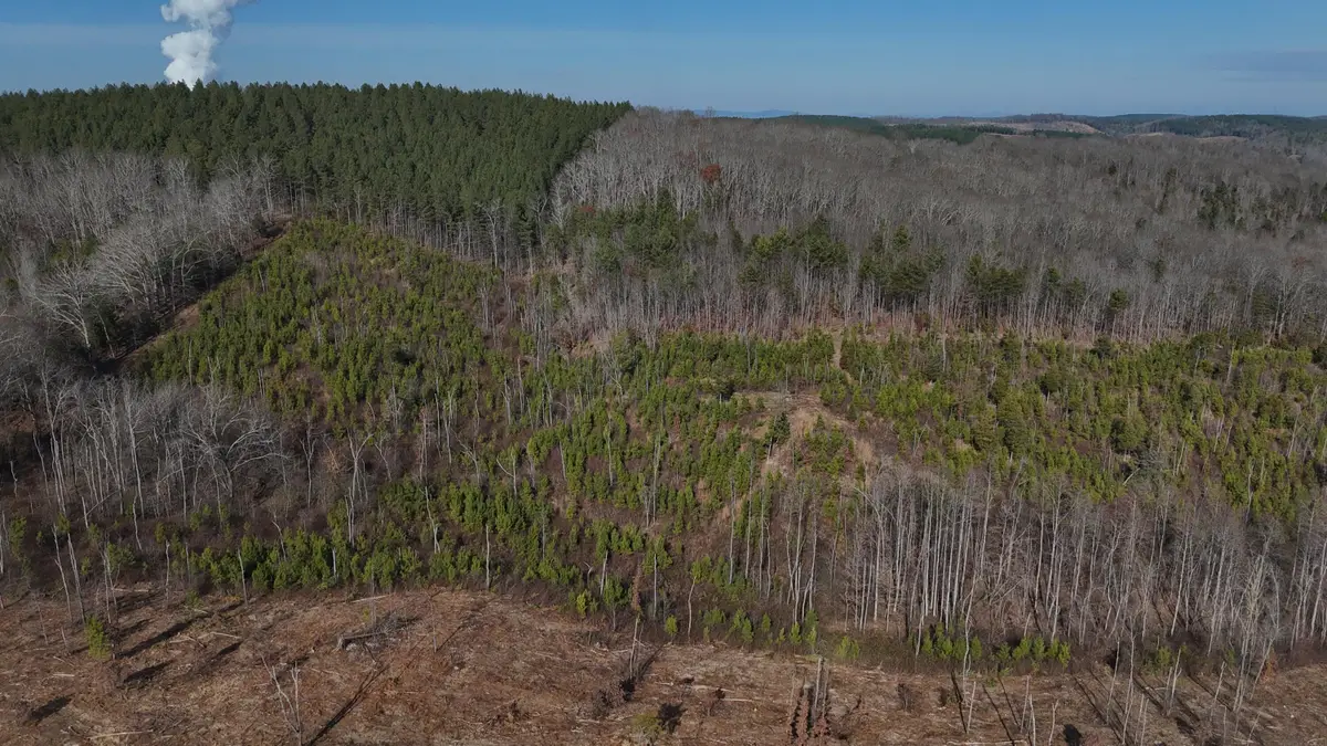 00 Big Sewee Lot 5, Decatur, TN 37322 - Image #1