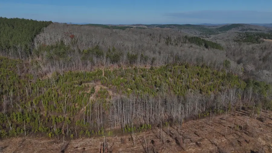 00 Big Sewee Lot 5, Decatur, TN 37322 - Image #3