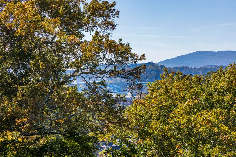 525 Crewdson Street, Chattanooga, TN 37405 - Image #3