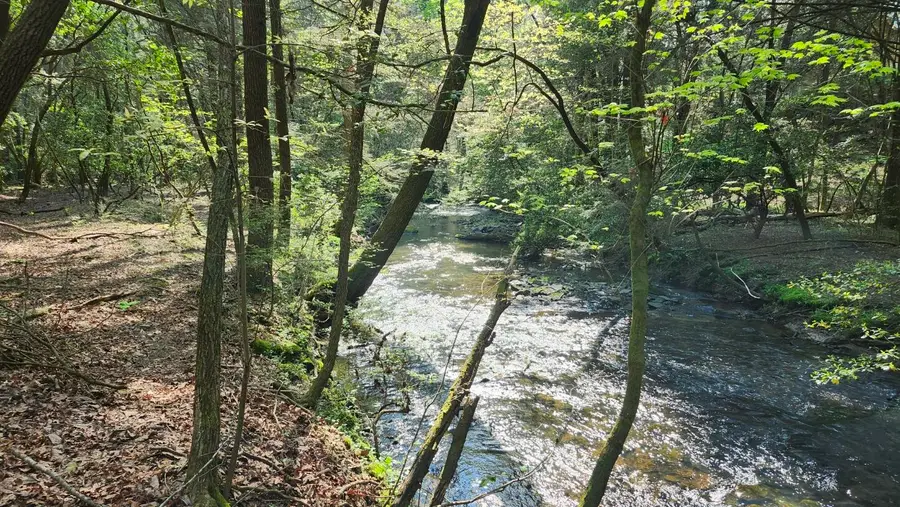 Lots 1,2,3 Old Holywater Rd - E Of Scott Creek, Tracy City, TN 37387 - Image #2