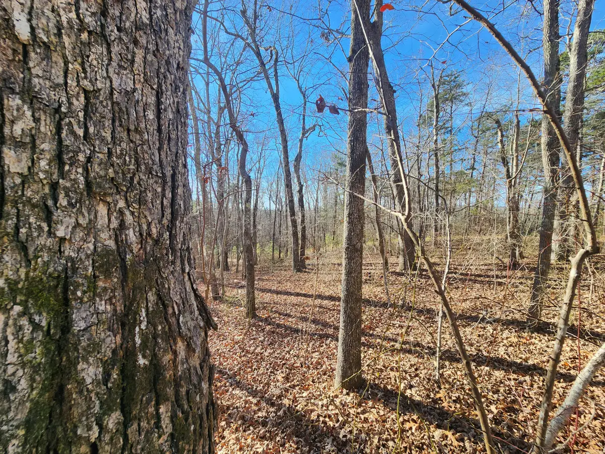 Lot 35 Road 9050, Mentone, AL 35984 - Image #1