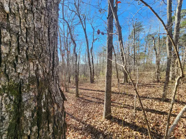 Lot 35 Road 9050, Mentone, AL 35984