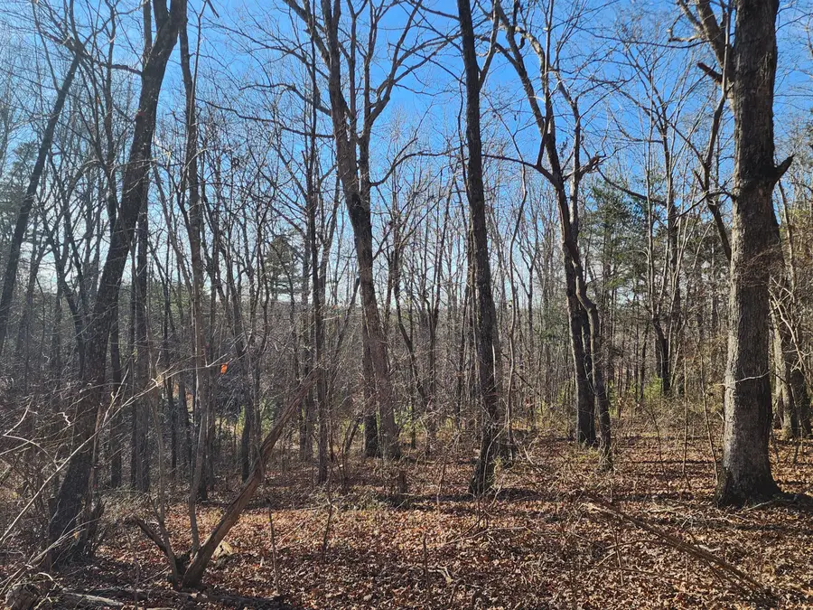 Lot 35 Road 9050, Mentone, AL 35984 - Image #2