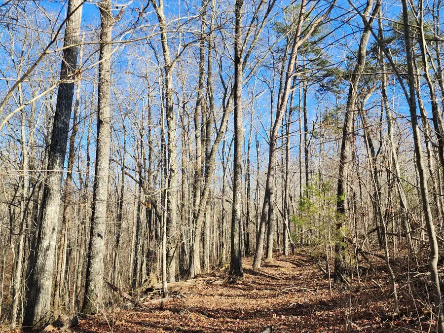 Lot 35 Road 9050, Mentone, AL 35984 - Image #3