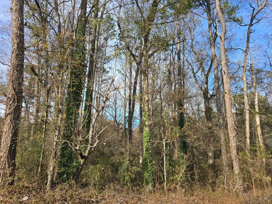 4940 Westridge Lane, Powder Springs, GA 30127 - Image #3