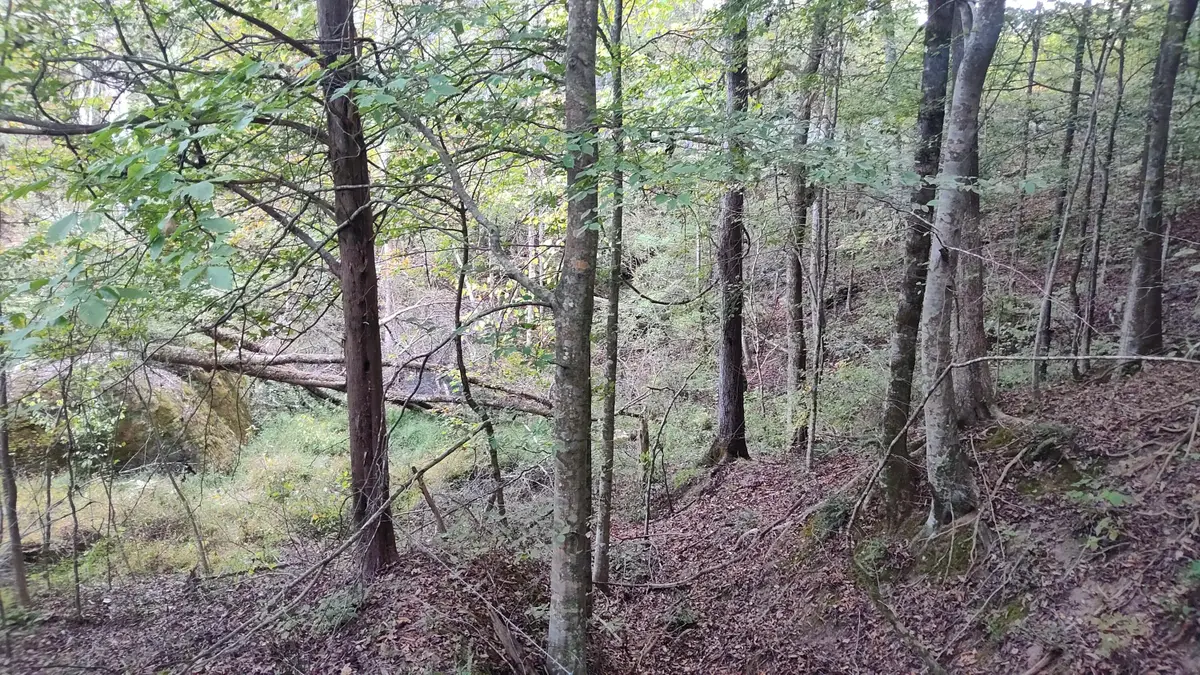 0 Summertown (8.56 Acres) Road #Lot 2, Jasper, TN 37347 - Image #1