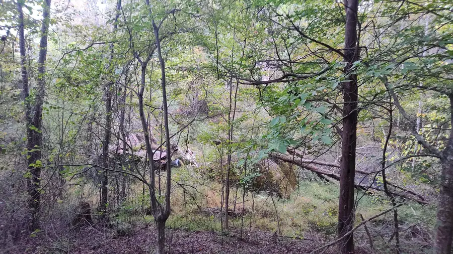 0 Summertown (8.56 Acres) Road #Lot 2, Jasper, TN 37347 - Image #2