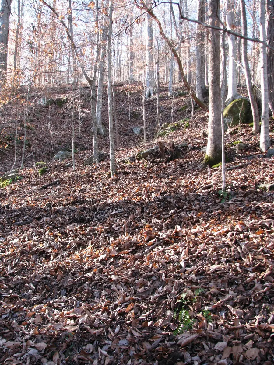 0 Summertown (8.56 Acres) Road #Lot 2, Jasper, TN 37347 - Image #3