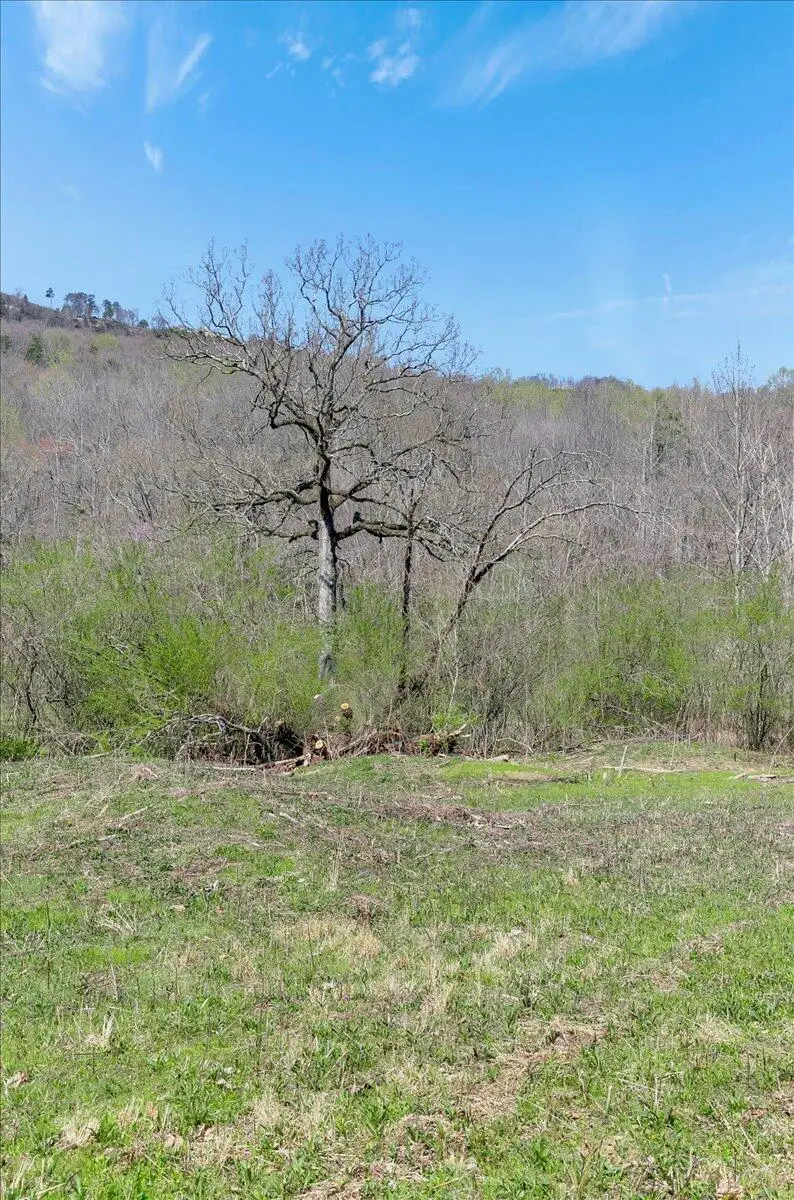 1009 Reads Lake Road #Lot 8, Chattanooga, TN 37415 - Image #3