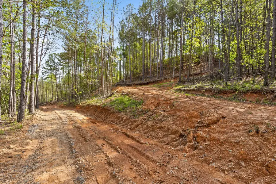 Tract 2 S Hwy 411 Road, Chatsworth, GA 30705 - Image #3