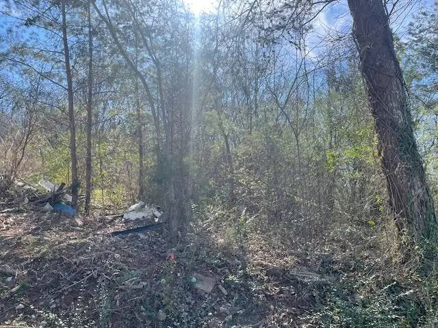 52 Tower Drive, Rossville, GA 30741 - #3