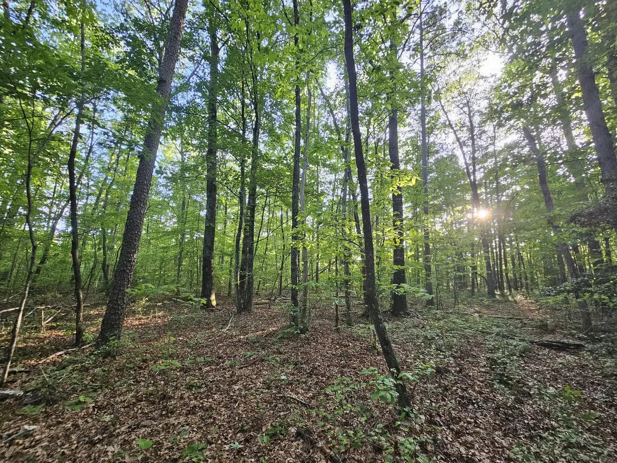 3 Savage Highland Drive #Sw1e, Coalmont, TN 37313 - #1