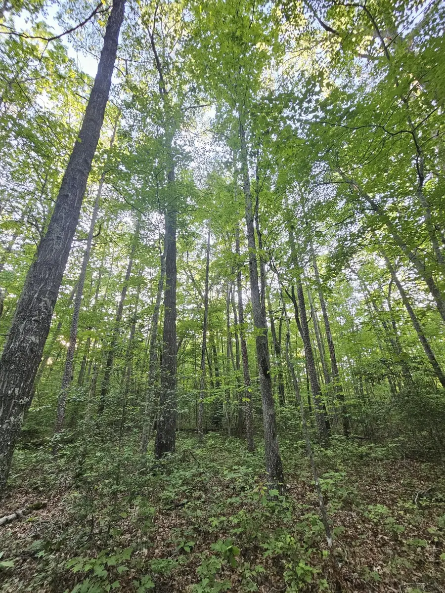 3 Savage Highland Drive #Sw1e, Coalmont, TN 37313 - #3