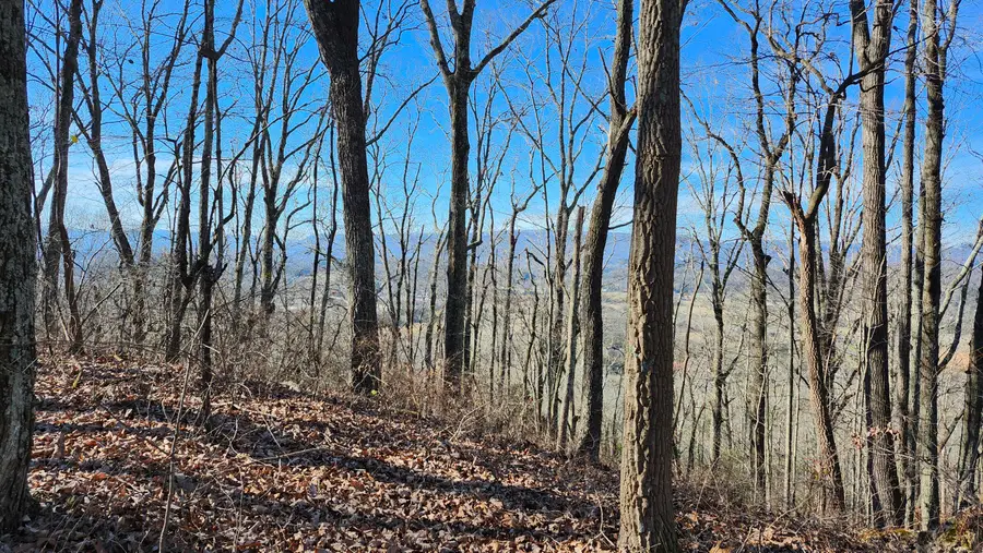 496 Hancock (5-acre Portion) Road, Jasper, TN 37347 - #2