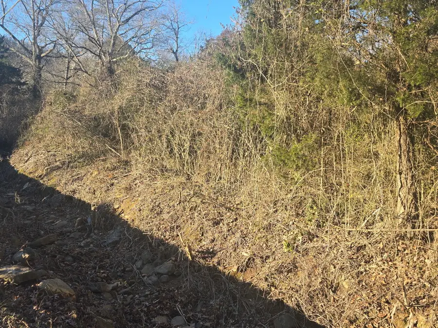 815 Retro Hughes Road, Sale Creek, TN 37373 - Image #2