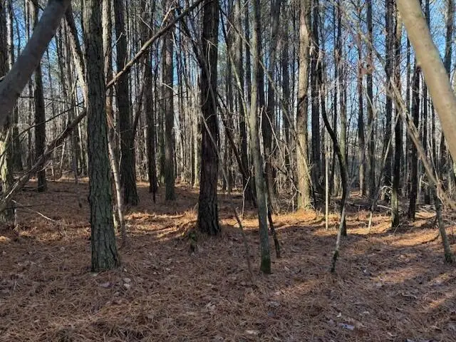 Lot 9 Hwy 11 #Lot 9, Valley Head, AL 35989 - Image #1