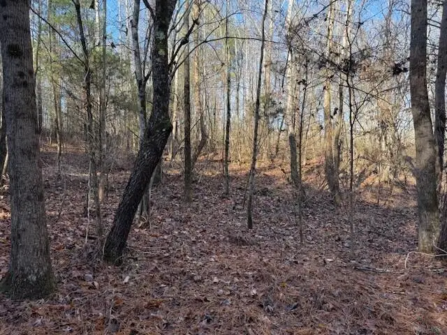 Lot 8 County Road 751 #Lot 8, Valley Head, AL 35989 - Image #1