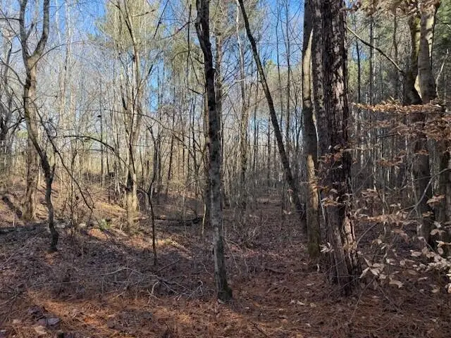 Lot 8 County Road 751 #Lot 8, Valley Head, AL 35989 - Image #3