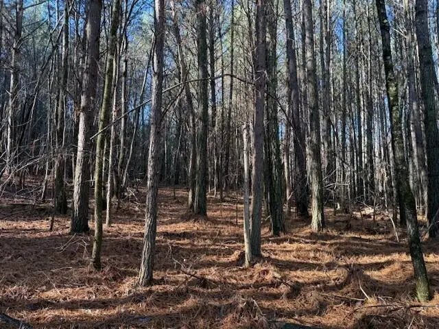 Lot 10 Hwy 11 #Lot 10, Valley Head, AL 35989 - Image #2