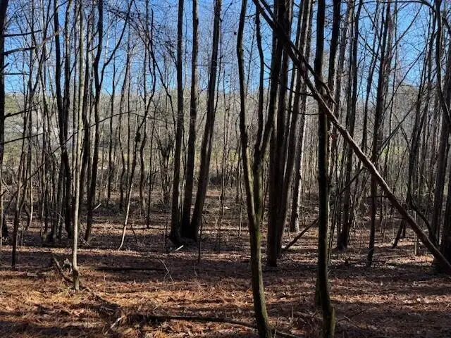 Lot 10 Hwy 11 #Lot 10, Valley Head, AL 35989 - Image #3