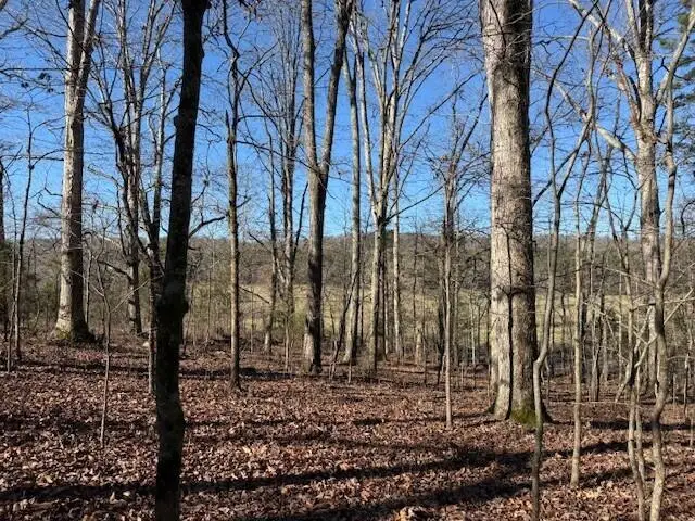 Lot 4 County Road 751 #Lot 4, Valley Head, AL 35989 - Image #3