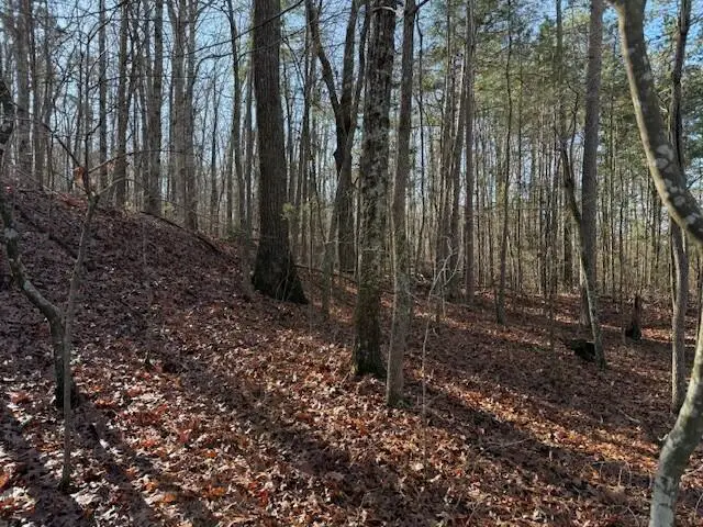 Lot 7 County Road 751 #Lot 7, Valley Head, AL 35989 - Image #2