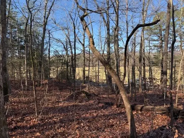 Lot 7 County Road 751 #Lot 7, Valley Head, AL 35989 - Image #3