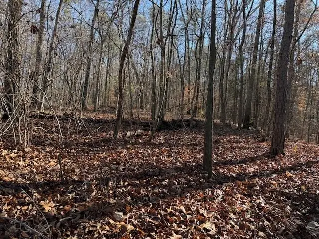 Lot 5 County Road 751 #Lot 5, Valley Head, AL 35989 - Image #1