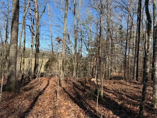 Lot 5 County Road 751 #Lot 5, Valley Head, AL 35989 - Image #3