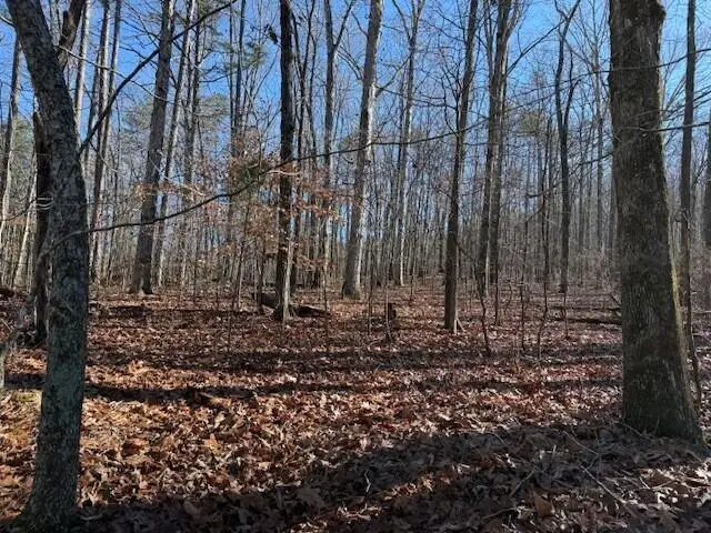 Lot 6 County Road 751 #Lot 6, Valley Head, AL 35989 - Image #2