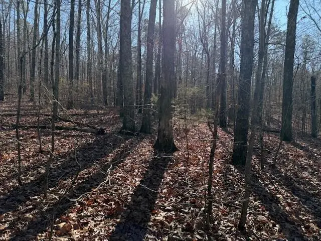 Lot 6 County Road 751 #Lot 6, Valley Head, AL 35989 - Image #3