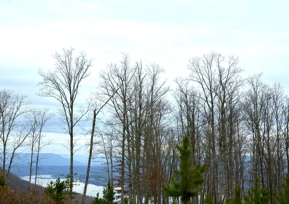 0 Wohalie Lane #Lots 45/45a, South Pittsburg, TN 37380 - Image #1