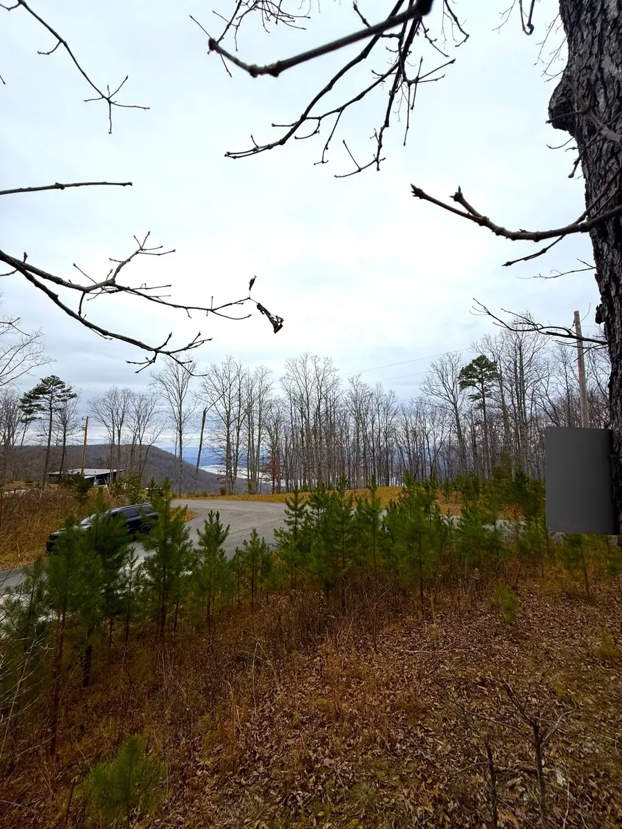 0 Wohalie Lane #Lots 45/45a, South Pittsburg, TN 37380 - Image #3