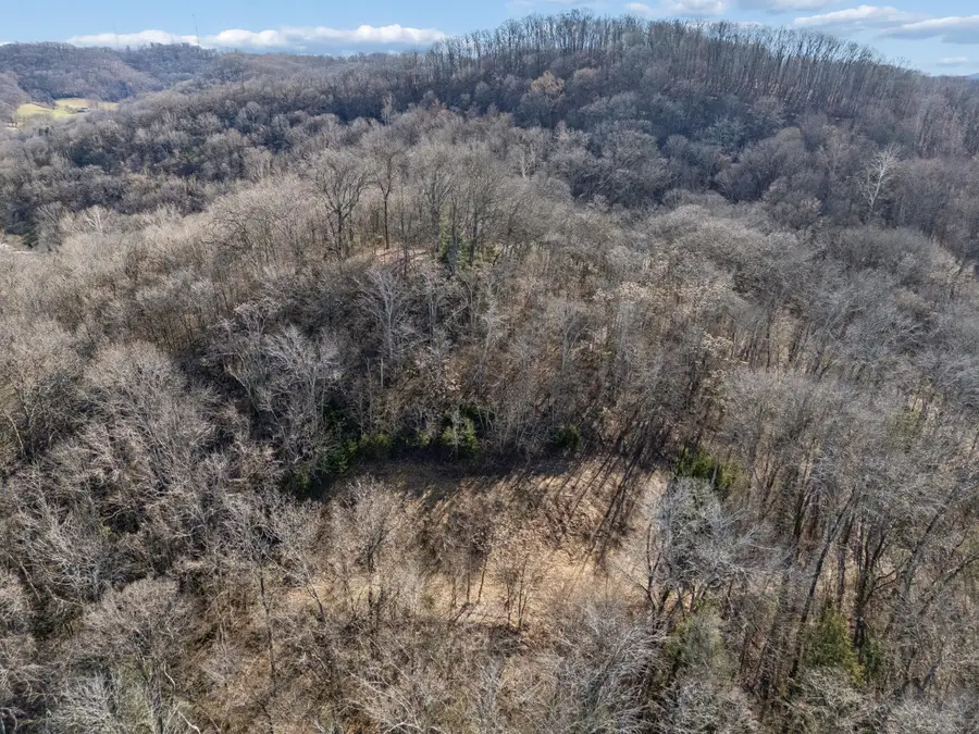 6450 Log Cabin Trail, Brentwood, TN 37027 - Image #3