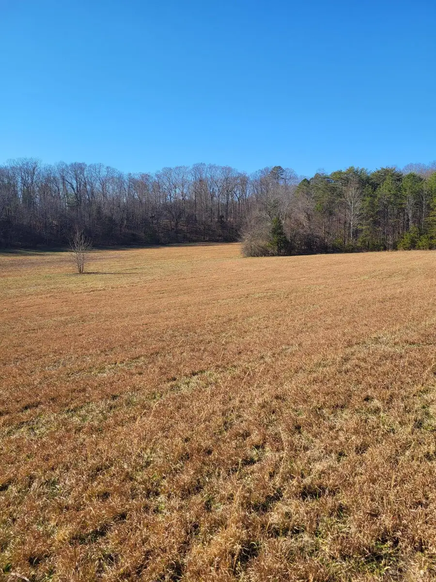 16633 Andy Thomas Road, Sale Creek, TN 37373 - Image #2