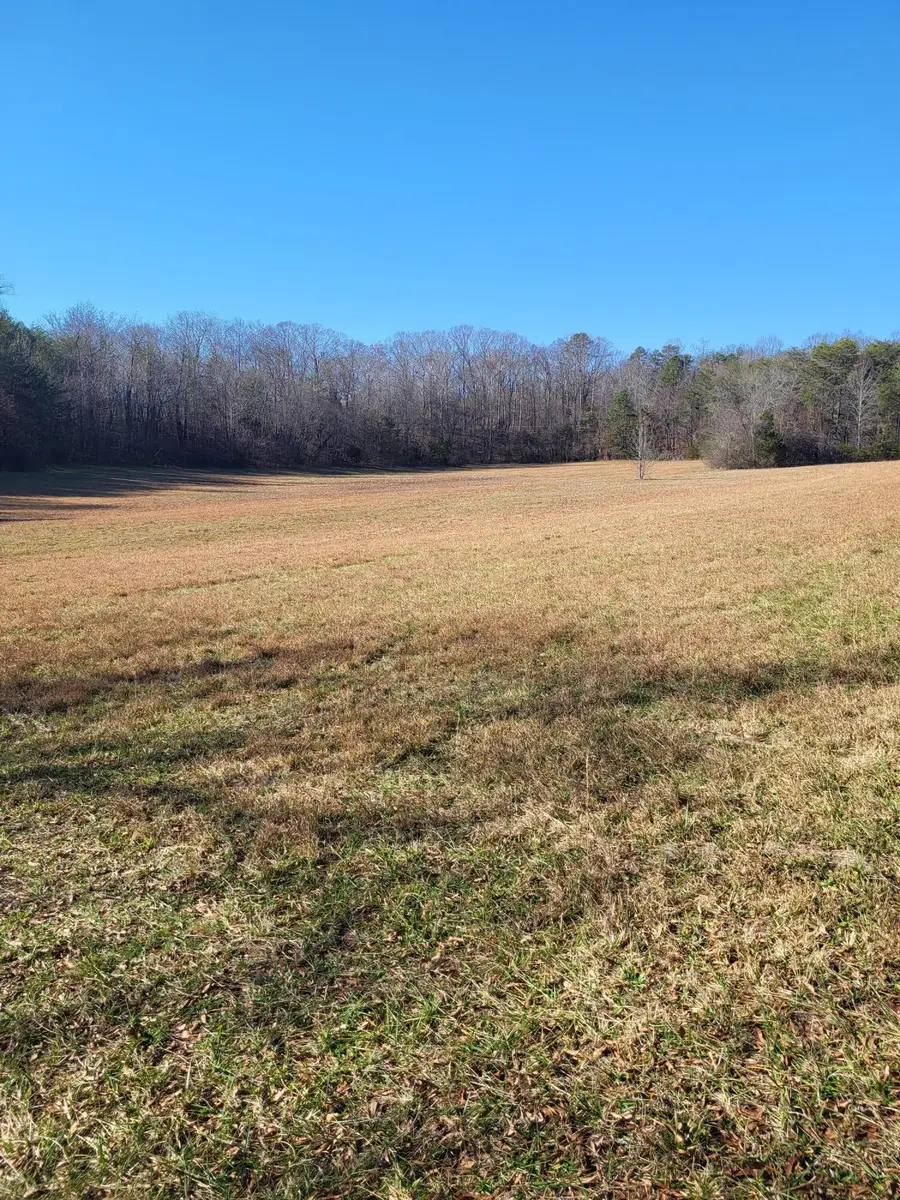 16633 Andy Thomas Road, Sale Creek, TN 37373 - Image #3