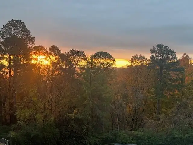 1414 Continental Drive #407+409, Chattanooga, TN 37405 - #2