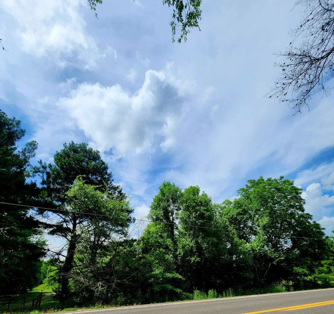 0 River Road #81  8, Decatur, TN 37322 - Image #1