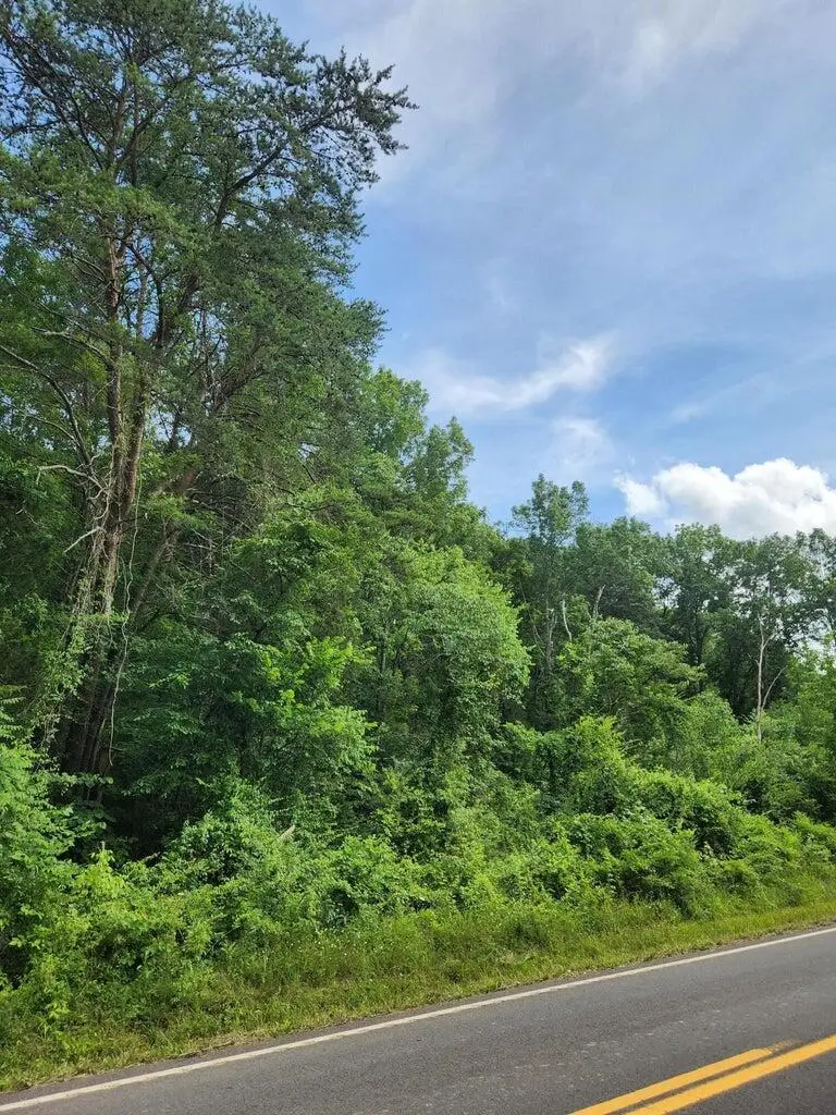 0 River Road #81  8, Decatur, TN 37322 - Image #3