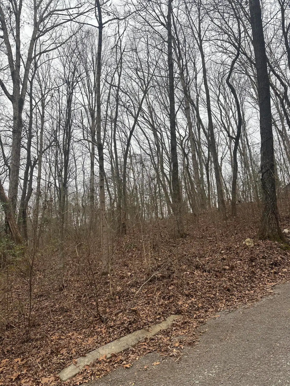 0 Shady Oaks Cv Cove #12, Dunlap, TN 37327 - Image #1