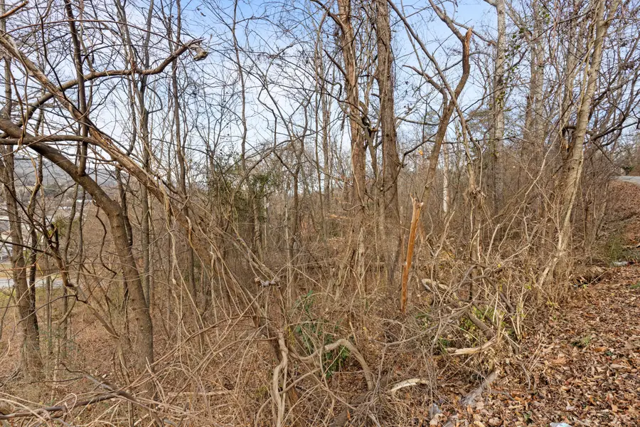 0 Orlando Dr. #6, 7, Red Bank, TN 37415 - Image #3